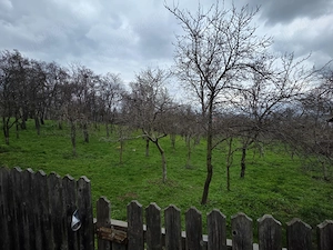 Vand casa cu sura, curte mare si gradina in Bosanci, Suceava - imagine 5