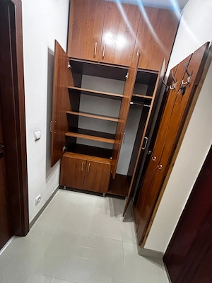 Inchiriez apartament 1 camera Ared Micalaca - imagine 7