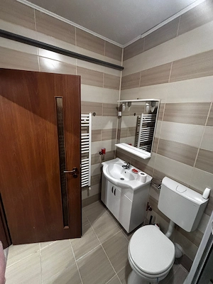 Inchiriez apartament 1 camera Ared Micalaca - imagine 6