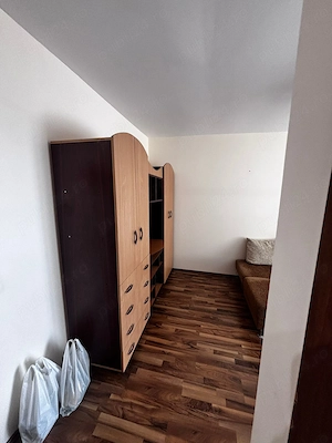 Inchiriez apartament 1 camera Ared Micalaca - imagine 5