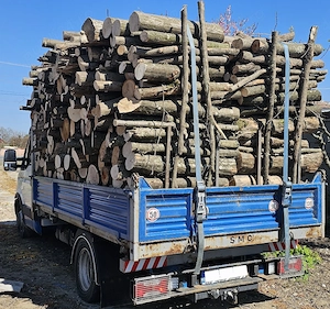 Lemn de foc Întreg sau Taiat si Crapat - imagine 4