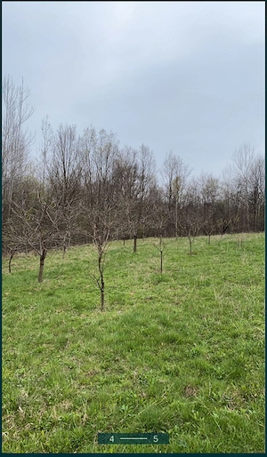 Cramă din piatră casă bătrânească beci din piatră livadă pomi fructiferi  - imagine 10