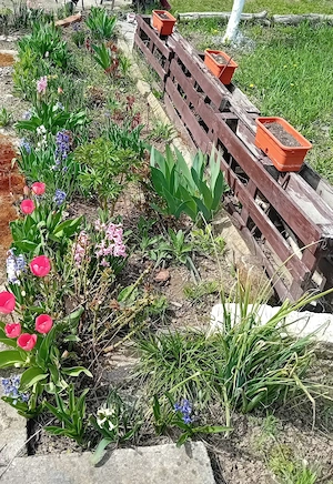 Vilă P+1 Buftea - imagine 10