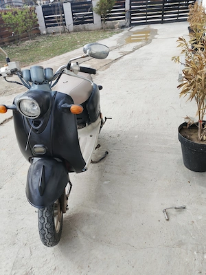 Scuter de 49 cm - imagine 4