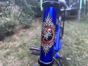 Vând Pegas Strada Mini - imagine 5