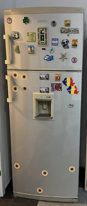 Combina frigorifica Beko cu dozator apa, 386L, H 202.5 cm