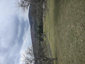 De vânzare teren 5215m Valea Doftanei  - imagine 4