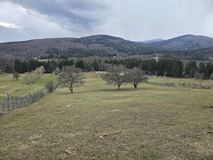 De vânzare teren 5215m Valea Doftanei  - imagine 3