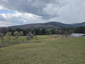 De vânzare teren 5215m Valea Doftanei  - imagine 13