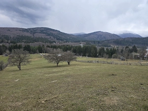 De vânzare teren 5215m Valea Doftanei  - imagine 9