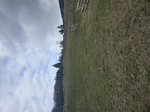 De vânzare teren 5215m Valea Doftanei  - imagine 8