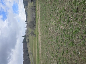 De vânzare teren 5215m Valea Doftanei  - imagine 10