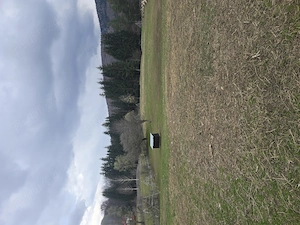 De vânzare teren 5215m Valea Doftanei  - imagine 5