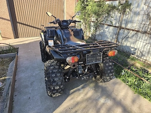 kawasaki brute force  - imagine 3