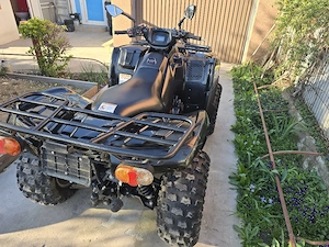 kawasaki brute force  - imagine 2