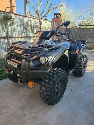 kawasaki brute force  - imagine 4