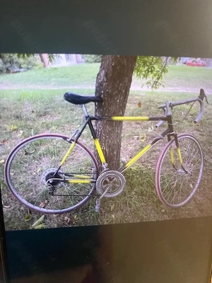 semicursiera roti 28" belgia