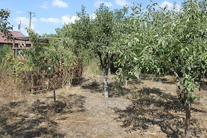 Casă de țară confortabilă de vânzare - imagine 15