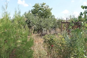 Casă de țară confortabilă de vânzare - imagine 9