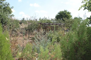 Casă de țară confortabilă de vânzare - imagine 10