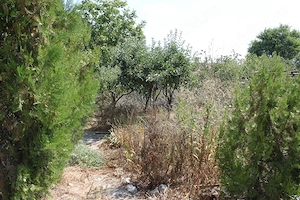 Casă de țară confortabilă de vânzare - imagine 11