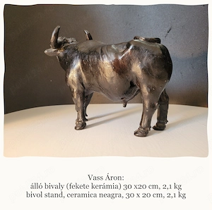 bivol stand,vass áron - imagine 2