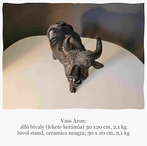 bivol stand,vass áron - imagine 3