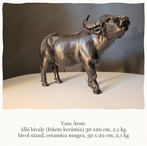 bivol stand,vass áron