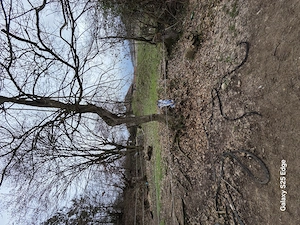 Teren de vanzare - imagine 3