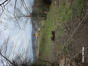 Teren de vanzare - imagine 2