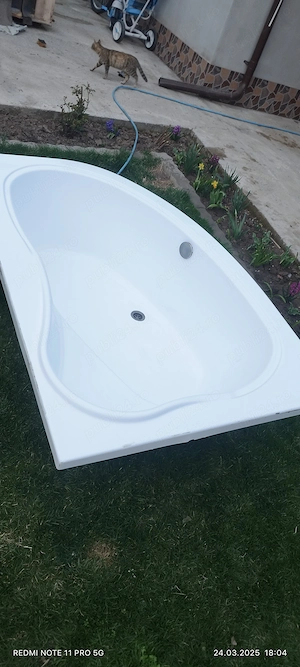 Cada pe colt de vânzare 