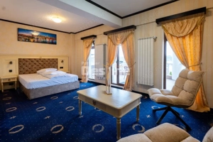 Oportunitate de Business - imagine 8