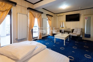 Oportunitate de Business - imagine 6