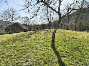 Teren intravilan comuna Certejul de Sus - imagine 5