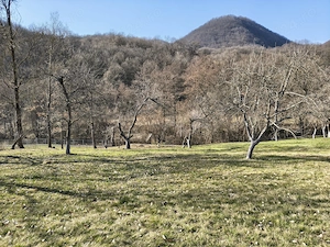 Teren intravilan comuna Certejul de Sus - imagine 4