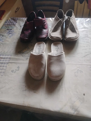 Pantofi dama 