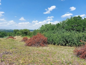 Teren intravilan - imagine 4