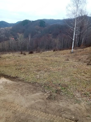 Teren de vanzare Lepsa Vrancea - imagine 4