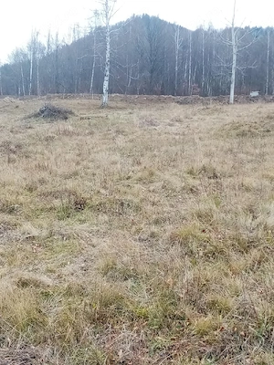 Teren de vanzare Lepsa Vrancea - imagine 5