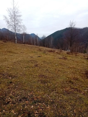 Teren de vanzare Lepsa Vrancea - imagine 3