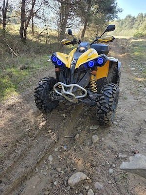 can am renegade 800 - imagine 4