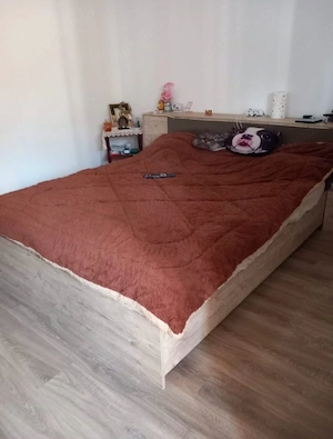 Vand o proprietate cu 2 case Cazasu, Sătuc  - imagine 6