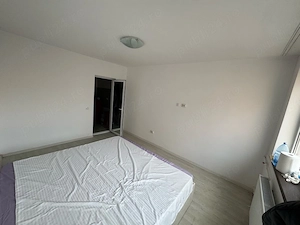 Camera camin Costin Nenitescu