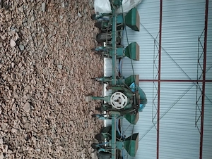 Semănătoare de porumb si Floarea soarelui - imagine 5