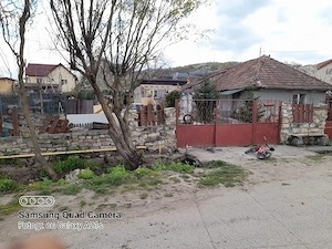 casa la dezmir  - imagine 8