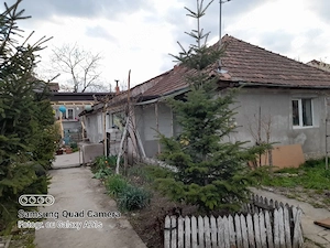 casa la dezmir  - imagine 9