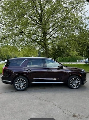 Hiunday paliady caligraphy 2024