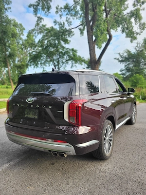 Hiunday paliady caligraphy 2024 - imagine 8