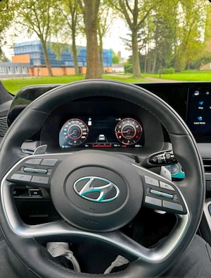 Hiunday paliady caligraphy 2024 - imagine 2