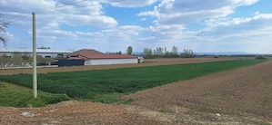 Teren intravilan la 7km de Satu Mare